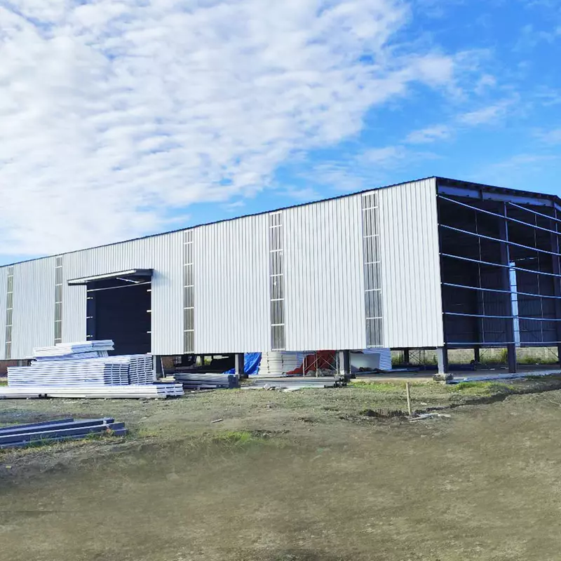 Steel Structure Warehouse Construction
